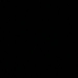 Meet your Posher, Coral